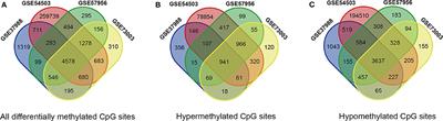 Identification of Aberrantly Methylated Differentially CpG Sites in Hepatocellular Carcinoma and Their Association With Patient Survival